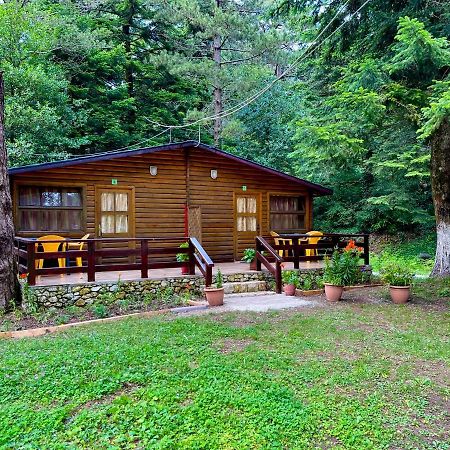 Uji I Panjes Llogara Vila Vlorë Exterior foto
