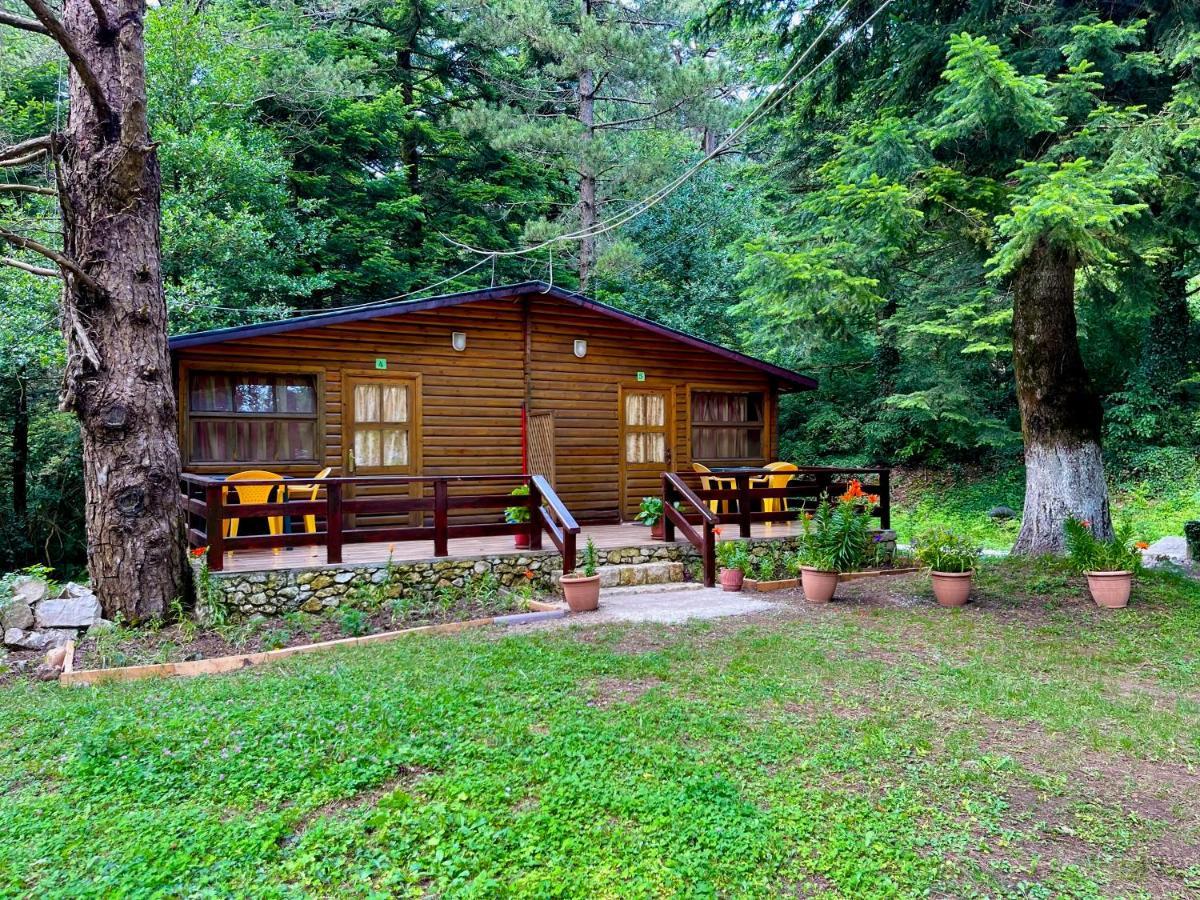 Uji I Panjes Llogara Vila Vlorë Exterior foto